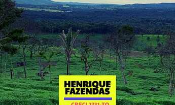 Imagem 7: Fazenda Vitrine, 60 alqueires ( 290.4 hectares). 45 alqueires em Dois Irmãos