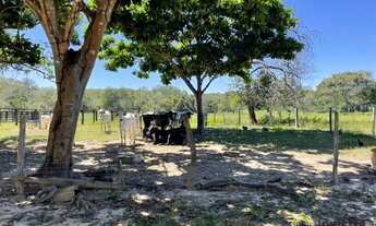 Imagem 7: Fazenda à venda, 1.040 Hectares em Recursolândia/TO