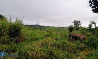 Imagem 7: Sítio 42 alqueires Jaru