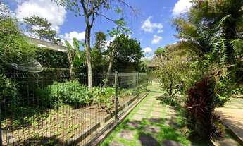 Imagem 7: Linda casa em Nogueira!