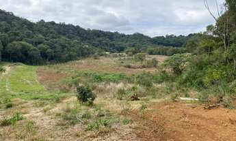 Imagem 4: Área para formar chácara com 23.000m² Almirante Tamandaré - Juruqui