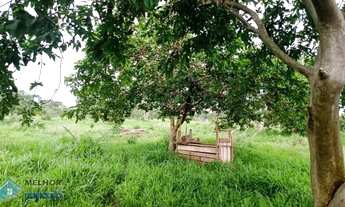 Imagem 4: Sítio 30 alqueires Jaru