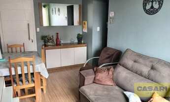 Imagem 3: Apartamento com 2 dormitórios à venda, 56 m² - Jardim Irajá - São Bernardo do Campo/SP