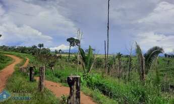 Imagem 3: Fazenda 150 alqueires Região de Ariquemes