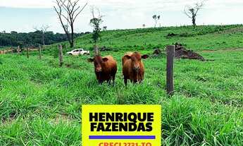 Imagem 5: Fazenda Vitrine, 60 alqueires ( 290.4 hectares). 45 alqueires em Dois Irmãos
