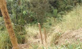 Imagem 5: Lote na Avenida principal de 222m2 no Bairro Montes Claros/Ribeiro de Abreu