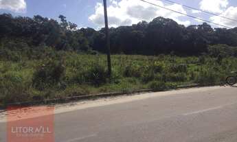 Imagem 7: Terreno à venda, 570 m² por R$ 50.000,00 - Cidade Jardim Coronel - Itanhaém/SP