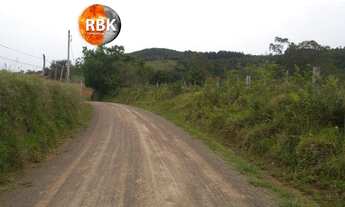 Imagem 5: Excelente Área de Terra 3 hectares no melhor de Glorinha de barbada!!!