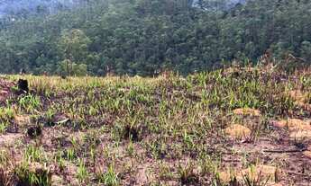 Imagem 5: Lote/Terreno para venda possui 600 metros quadrados com 1 quarto em Rio Acima - Mairiporã