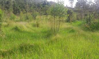 Imagem 2: Sítio 1 Alqueire Morungaba/SP/BR (Ric