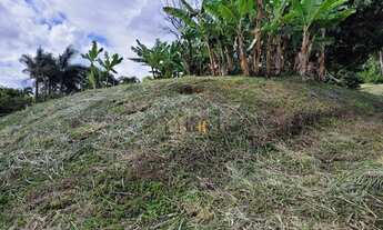 Imagem 6: Oportunidade terreno com 2.000 m² com escritura registrada, excelente localização