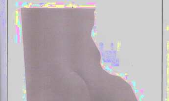 Imagem 2: Area native with forestall p/projector ed compensate ed carbon 97.000.000h- Apuí - AM(Nine