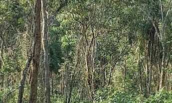 Imagem 4: Oportunidade única 1.000 m2 em Ibiuna BQTNVD