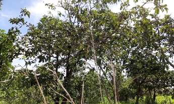 Imagem 5: Terreno de chácara em Luziânia