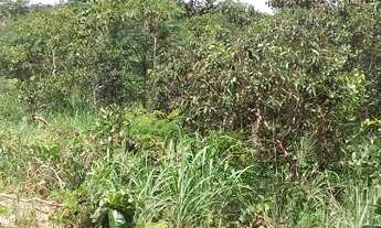 Imagem 5: Fazenda/Sítio/Chácara para venda tem 242500 metros quadrados em Setor Central - Cromínia