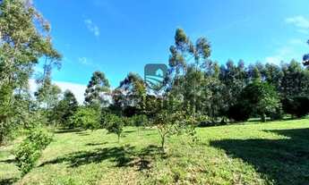 Imagem 3: Sítio com 3h, casa e arroio em Triunfo - Aceito veículo ou parcelamento