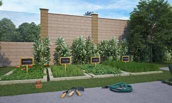 Imagem 4: Mirante das Flores Planalto - Manaus - AM