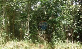 Imagem 2: Lote 5.000m² - Jardins de Petrópolis