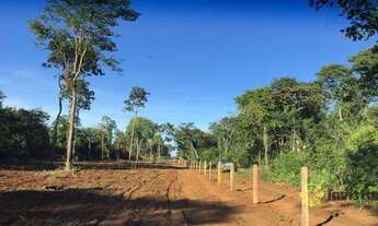 Imagem 6: Fazenda à venda, 2.034 Hectares em Taipas do Tocantins/TO