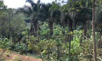 Imagem 5: Área para chácara em Buenos Aires - Guarapari - ES
