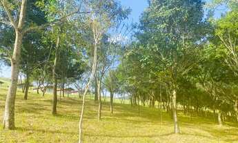 Imagem 5: Lote com 1000M a venda direto com o proprietário