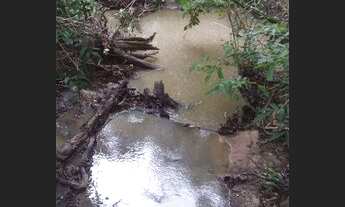 Imagem 6: Fazenda no município de Nobres à venda, 2780000 m² por R$ 5.560.000 - Vila Bom Jardim - No