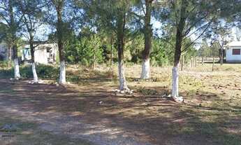 Imagem 4: Passo de Torres - Terreno Padrão - Tapera