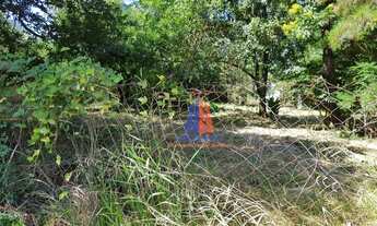 Imagem 3: Terreno à venda, 2000 m² por R$ 2.280.000,00 - Parque Franceschini - Sumaré/SP