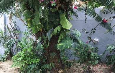 Imagem 6: Alugo casa duplex de esquina para empresas ou residencia ao lado do shopping rio mar