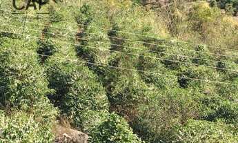 Imagem 2: Sítio Rural à venda, Jardim Santana, Espírito Santo do Pinhal - SI0139