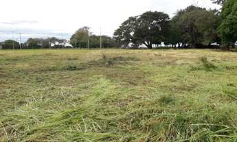 Imagem 4: Área de Terra de Esquina na Av Tancredo Neves - Foz do Iguaçu - Pr