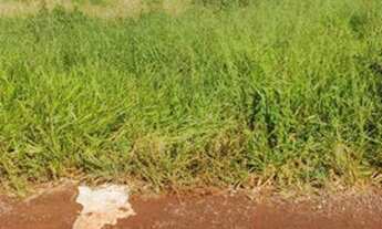 Imagem 3: TERRENO PRONTO PARA COSNSTRUIR