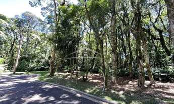 Imagem 3: GRAMADO - Terreno Padrão - Centro