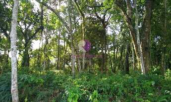 Imagem: Terreno à venda 1250M², PARQUE CEREJEIRAS