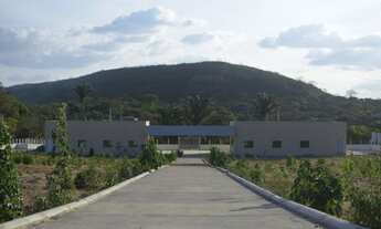 Imagem 3: Área à venda, 500 m² - Nova Quixadá - Quixadá/CE