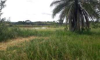 Imagem 2: Fazendinha Maquiné de 20.000m² a 10km da BR040