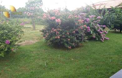 Imagem 3: Chácara com 200mts de beira do rio manso à venda, 100000 m² por R$ 1.200.000 - Manso - Cha