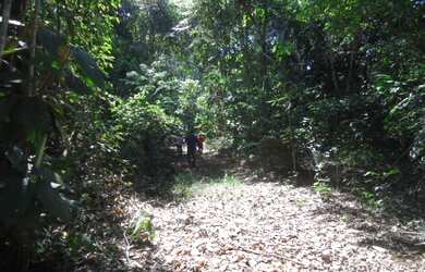 Imagem 6: 475,00 Hectares, Terra para Lavoura e Pecuária, sem abertura, Nova Maringá-MT
