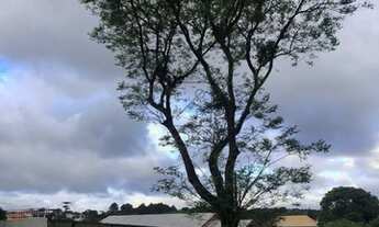 Imagem 3: Excelente terreno comercial em Santa Felicidade