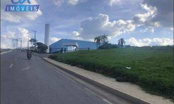 Imagem 2: Terreno Industrial