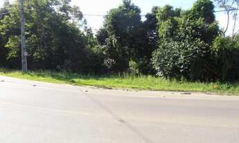 Imagem 3: Terreno para Venda em Quatro Barras, Jardim Orestes Thá