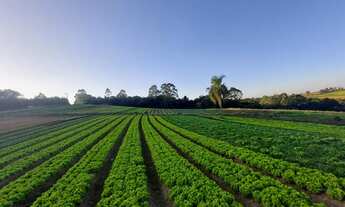 Imagem 2: Terrenos Planos e Limpos Para Sua Casa de Campo em Ibiúna SP MN