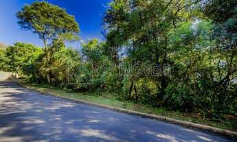 Imagem 7: PORTO ALEGRE - Terreno Padrão - Teresópolis
