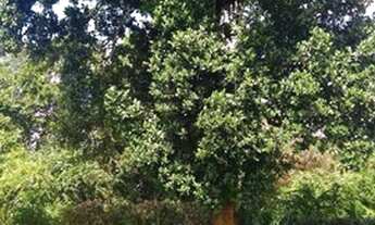 Imagem 6: Casa em Aldeia 250m² 3 Quartos 2 Suítes>