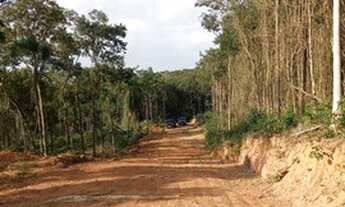Imagem: Terreno de 1.000m2 apenas R$ 35 mil á vista