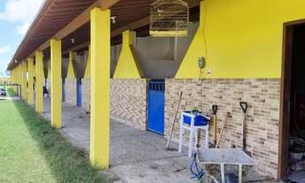 Imagem 5: Haras de luxo na região de Ceará mirim com 2 hectares