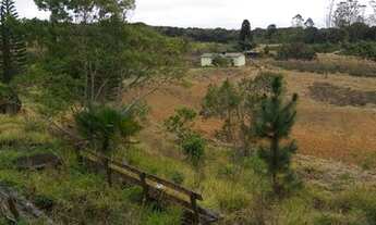 Imagem 3: Eduardo. Casa para venda possui 24200 metros quadrados com 3 quartos em Colônia (Zona Sul