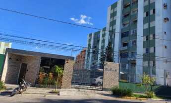 Imagem: Lindo apartamento Terra Nova