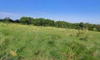 Imagem: FAZENDA EM CAMAPUA 15 MIL O HA