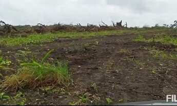 Imagem 5: Fazenda Para Lavoura Safra e Safrinha